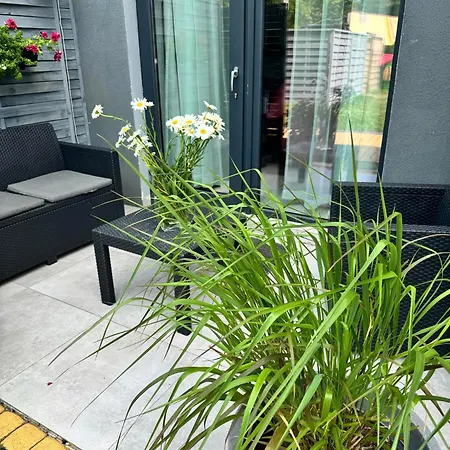 Kolorowe W Mielnie! 350m Od Plazy - 100m Od Jeziora! Apartamento *